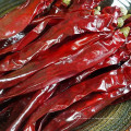 100% de piment de piment de poivron rouge naturel naturel